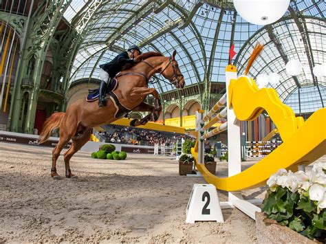 hermes horse equipment paris|hermes horse equipment.